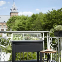 Elho Green Basics Kweektafel Xxl 75 - Plantenbak Voor Buitenkweken En Oogsten - Ø 75.5 X H 65.1 Cm - Zwart/Living Black -Aanbiedingen Bloeiruimte Winkel 800x1200