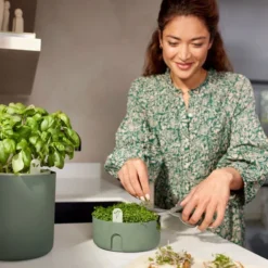 Elho Magic Microgreens 17 - Bloempot Voor Kiemgroenten - Ø 16.8 X H 7.1 Cm - Groen/Blad Groen -Aanbiedingen Bloeiruimte Winkel 800x1200 3