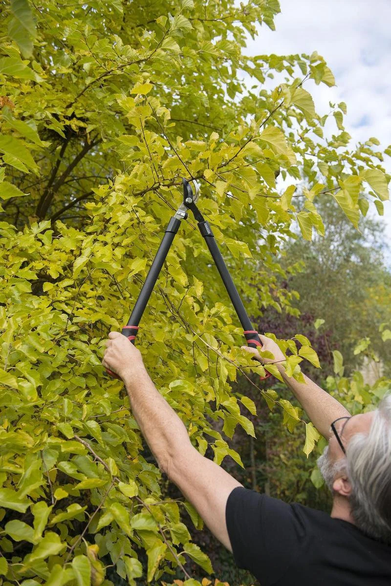 Kreator KRTGR4001 Takkenschaar - 650mm 3 Kreator KRTGR4001 Takkenschaar - 650mm - Afbeelding 3