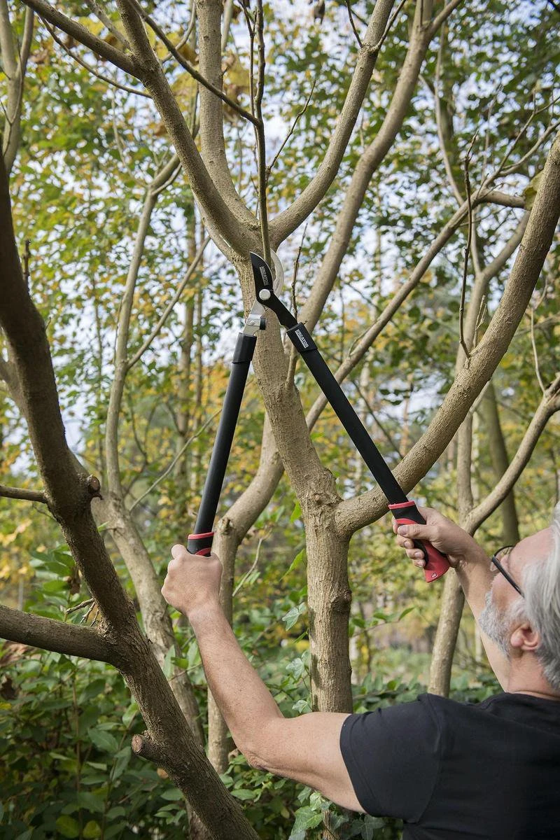 Kreator KRTGR4001 Takkenschaar - 650mm 4 Kreator KRTGR4001 Takkenschaar - 650mm - Afbeelding 4