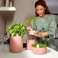 Elho Magic Microgreens 17 - Bloempot Voor Kiemgroenten - Ø 16.8 X H 7.1 Cm - Bruin/Toffee Terra -Aanbiedingen Bloeiruimte Winkel 800x1200 9