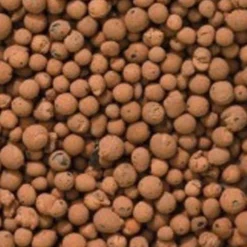 Hydrokorrels - Kleikorrels - Kamerplanten - 5 Liter - Natuurlijk Bloemen