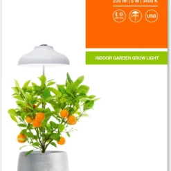 LEDVANCE 4058075576155 -Aanbiedingen Bloeiruimte Winkel 806x1200