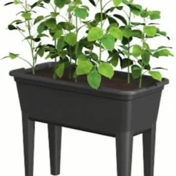 Easyday Kweektafel -Aanbiedingen Bloeiruimte Winkel 841x1200