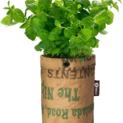 Biologische Kweekset Theekruiden Munt -Aanbiedingen Bloeiruimte Winkel 866x1200 1