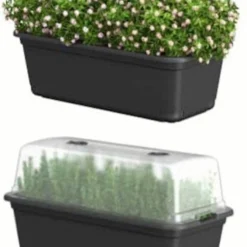 Easyday Kweektafel -Aanbiedingen Bloeiruimte Winkel 876x1200 1