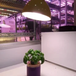 HortiPower Bloomer 2 Kweeklampen - 2 Stuks - 400-780nm - 9W - E27 - LED - Kweeklamp Led Full Spectrum - Groeilamp Voor Planten -Aanbiedingen Bloeiruimte Winkel 900x1200 1