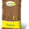 Florentus Hydrokorrels 40L (kleikorrels)
