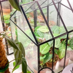 HortiPower Bloomer 2 Kweeklampen - 2 Stuks - 400-780nm - 9W - E27 - LED - Kweeklamp Led Full Spectrum - Groeilamp Voor Planten -Aanbiedingen Bloeiruimte Winkel 962x1200