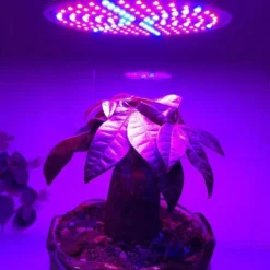 Merkloos Led Kweeklamp - Groeilamp - Bloeilamp Voor Planten - E27 Fitting - 200 LEDS - Met Klemhouder -Aanbiedingen Bloeiruimte Winkel 982x1200 1