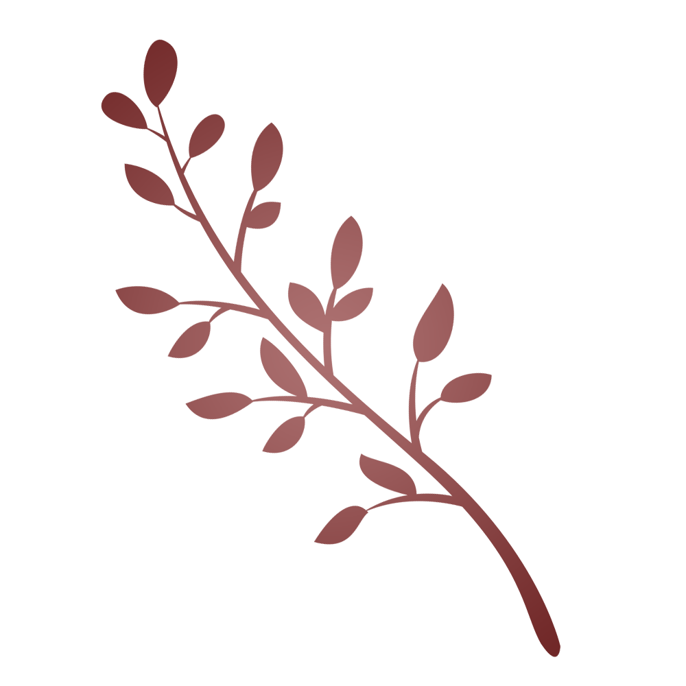 Aanbiedingen Bloeiruimte Winkel