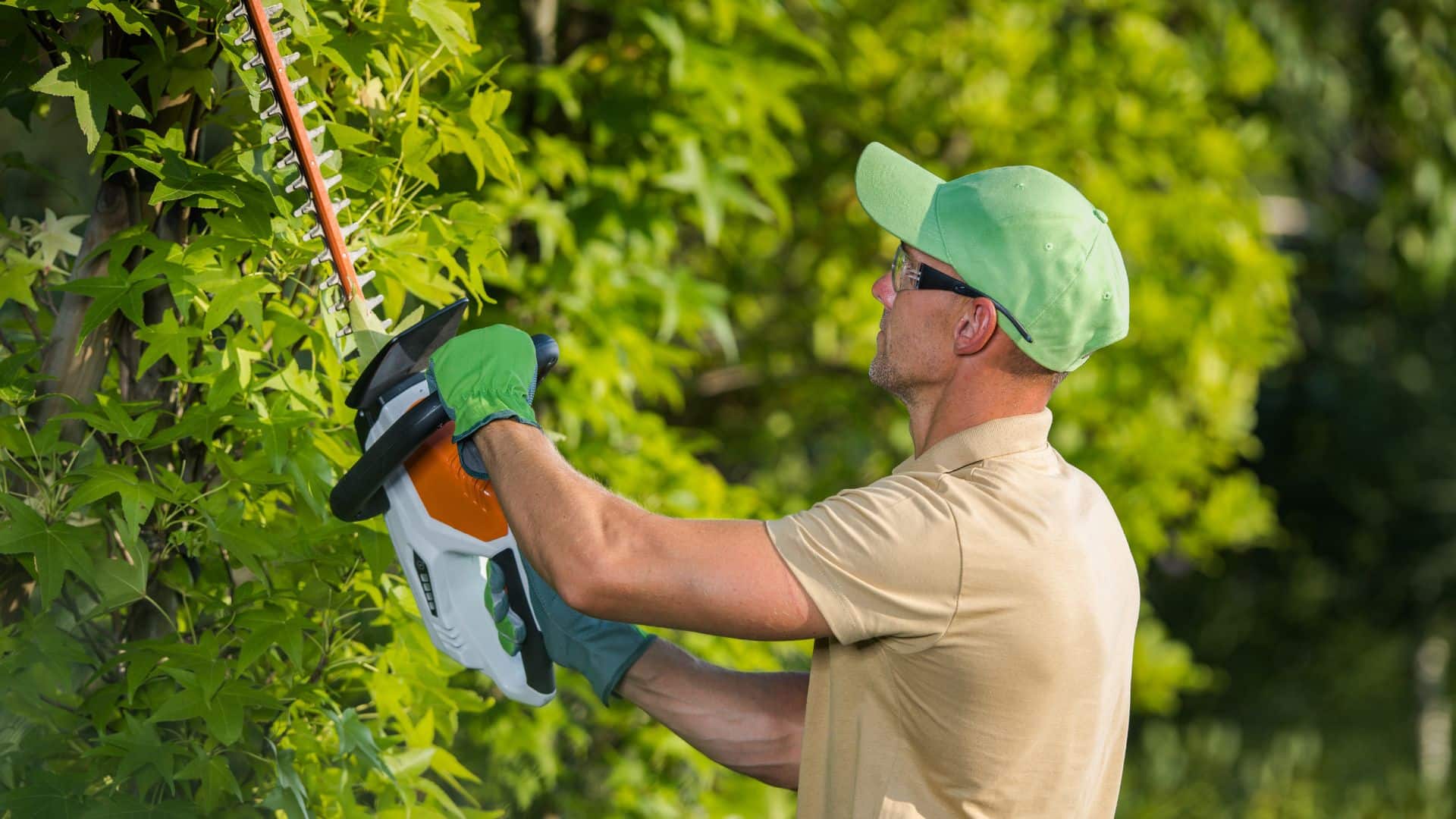 Aanbiedingen Bloeiruimte Winkel -Aanbiedingen Bloeiruimte Winkel outils electriques jardin